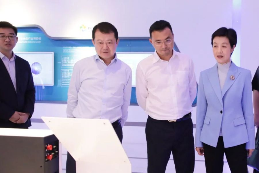 扬中市委副书记蔡萍率队来访麻将胡了pg